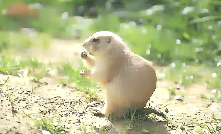 胡蜂的天敌有哪些？.jpg
