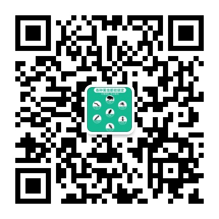 艾清深圳杀虫公司.jpg